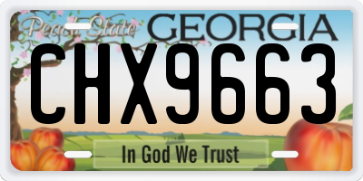GA license plate CHX9663