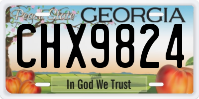 GA license plate CHX9824