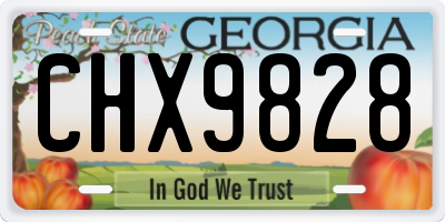 GA license plate CHX9828