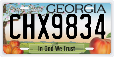 GA license plate CHX9834