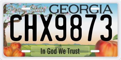 GA license plate CHX9873