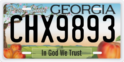 GA license plate CHX9893