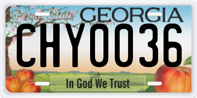 GA license plate CHY0036
