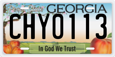GA license plate CHY0113