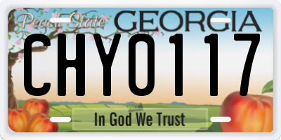 GA license plate CHY0117