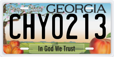 GA license plate CHY0213