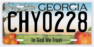 GA license plate CHY0228