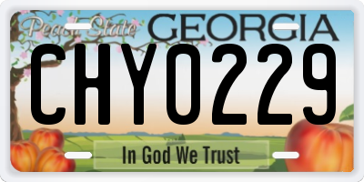 GA license plate CHY0229
