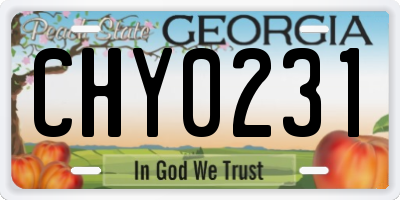 GA license plate CHY0231