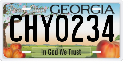 GA license plate CHY0234