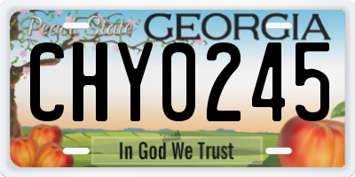 GA license plate CHY0245