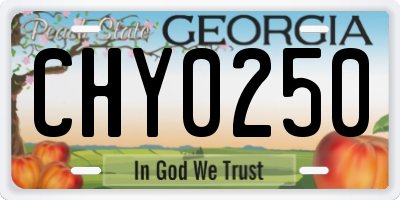 GA license plate CHY0250