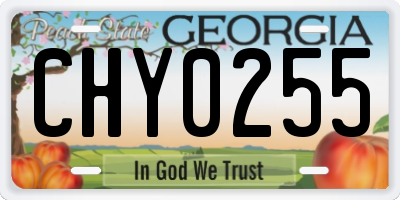 GA license plate CHY0255