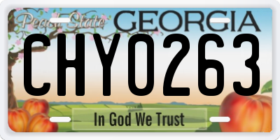 GA license plate CHY0263