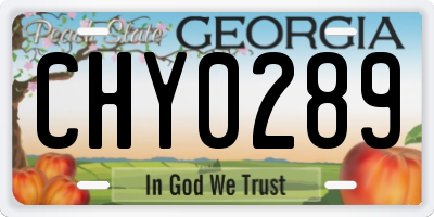 GA license plate CHY0289