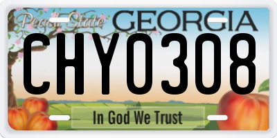 GA license plate CHY0308