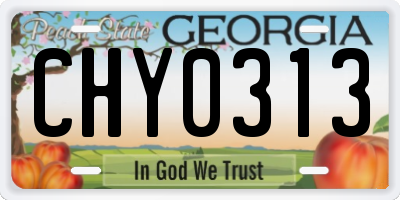 GA license plate CHY0313