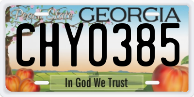 GA license plate CHY0385