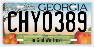 GA license plate CHY0389