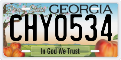 GA license plate CHY0534