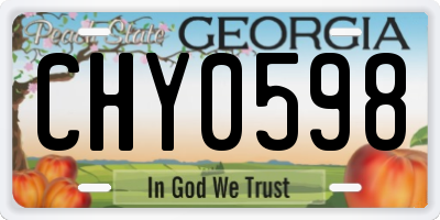 GA license plate CHY0598