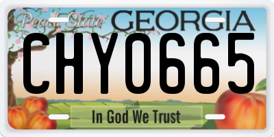 GA license plate CHY0665