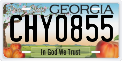GA license plate CHY0855