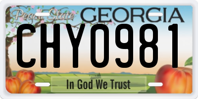 GA license plate CHY0981