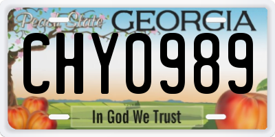 GA license plate CHY0989