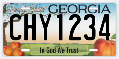 GA license plate CHY1234