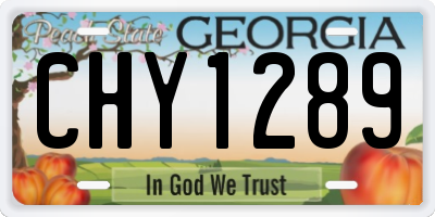 GA license plate CHY1289