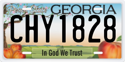 GA license plate CHY1828