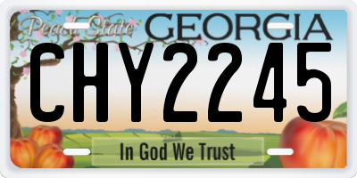 GA license plate CHY2245