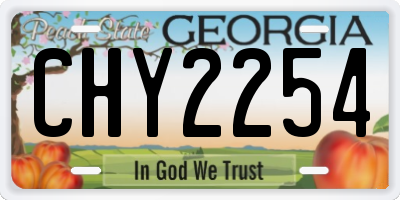 GA license plate CHY2254