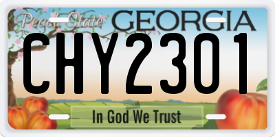 GA license plate CHY2301