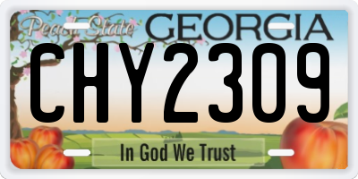 GA license plate CHY2309