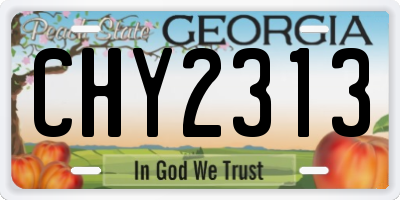 GA license plate CHY2313