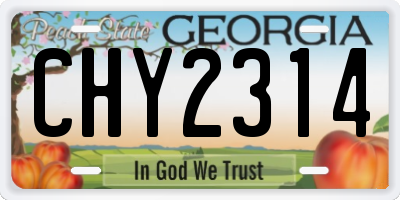 GA license plate CHY2314