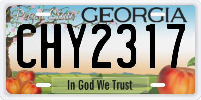 GA license plate CHY2317
