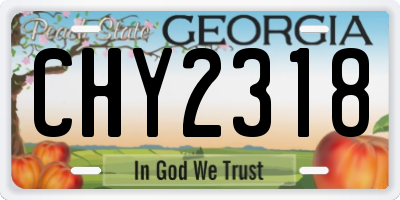GA license plate CHY2318