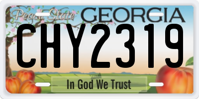 GA license plate CHY2319