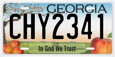 GA license plate CHY2341