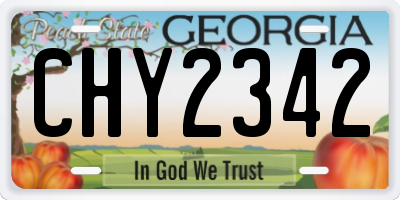 GA license plate CHY2342