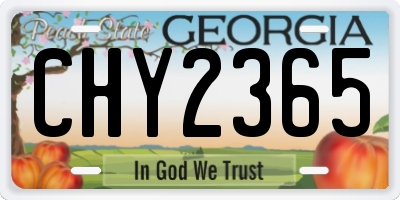 GA license plate CHY2365