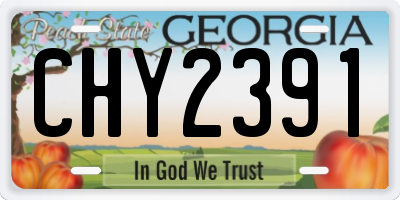 GA license plate CHY2391
