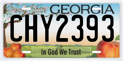 GA license plate CHY2393