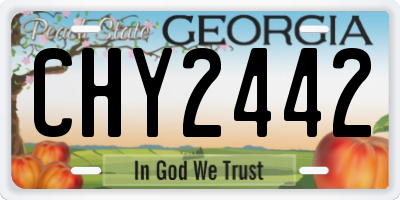 GA license plate CHY2442