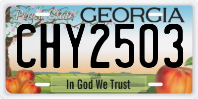 GA license plate CHY2503