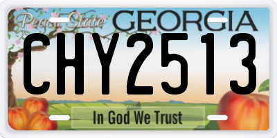 GA license plate CHY2513