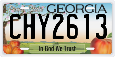 GA license plate CHY2613